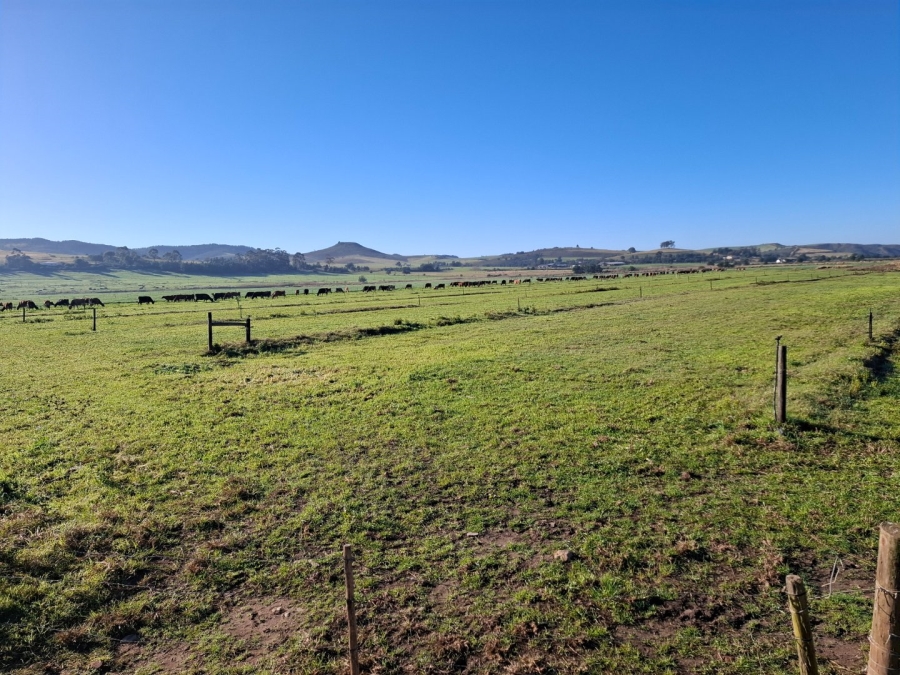 6 Bedroom Property for Sale in Riversdale Rural Western Cape